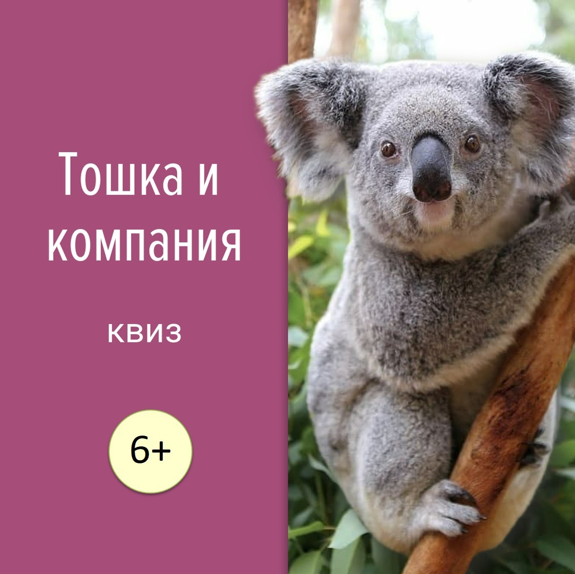 toshka.jpg